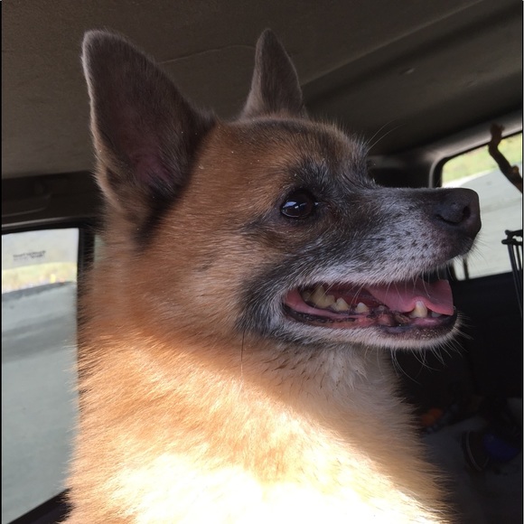 Not for sale - Picture 1 of 4